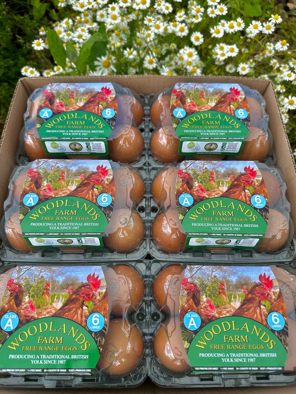 Kent eggs from Woodlands Farm, free-range and locally sourced in Kent